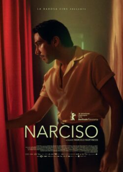narciso-304829712-large